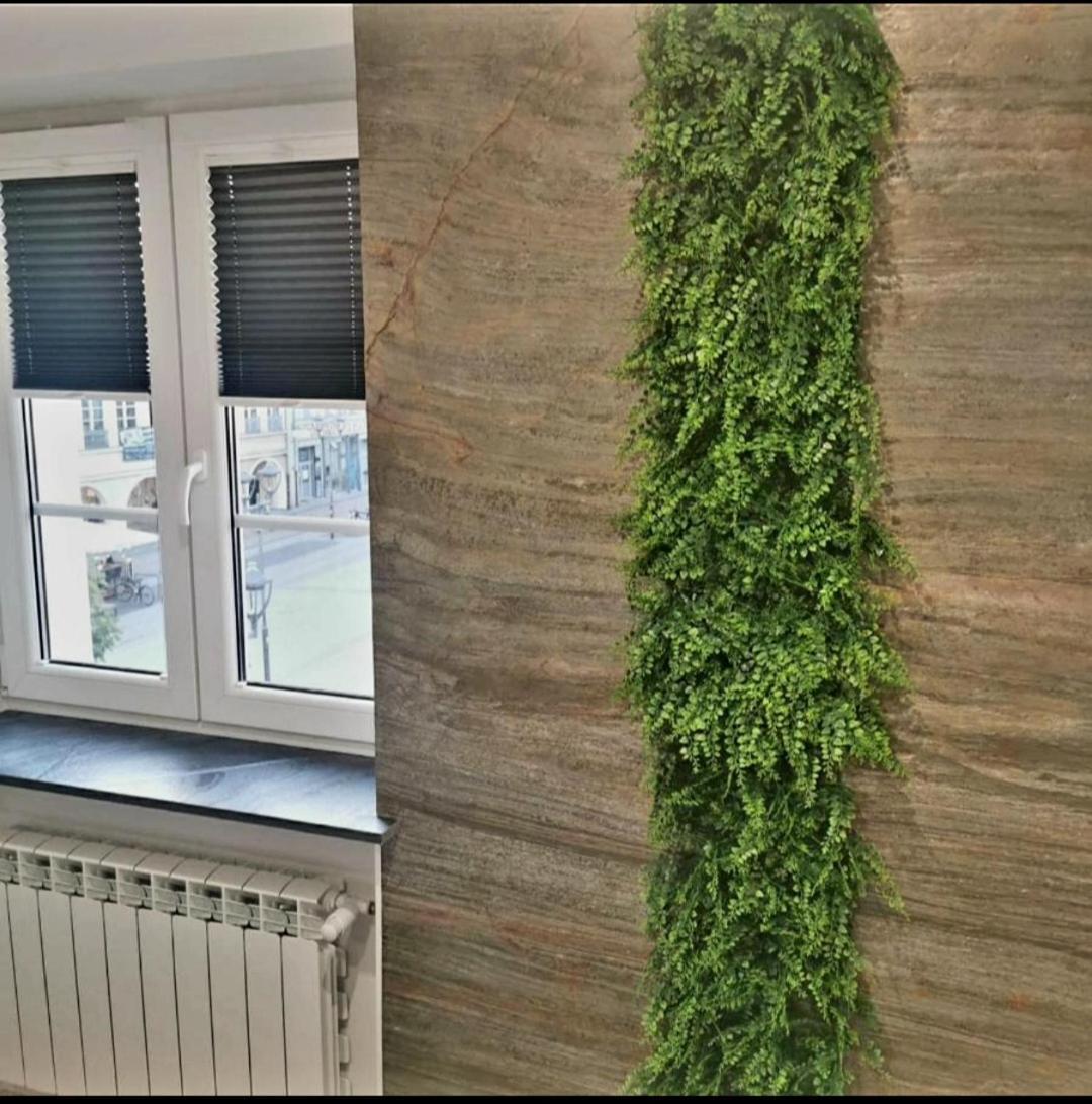 Rynek 23 Lux, Apartament Z Widokiem Na Ratusz Starego Miasta 格利维采 外观 照片